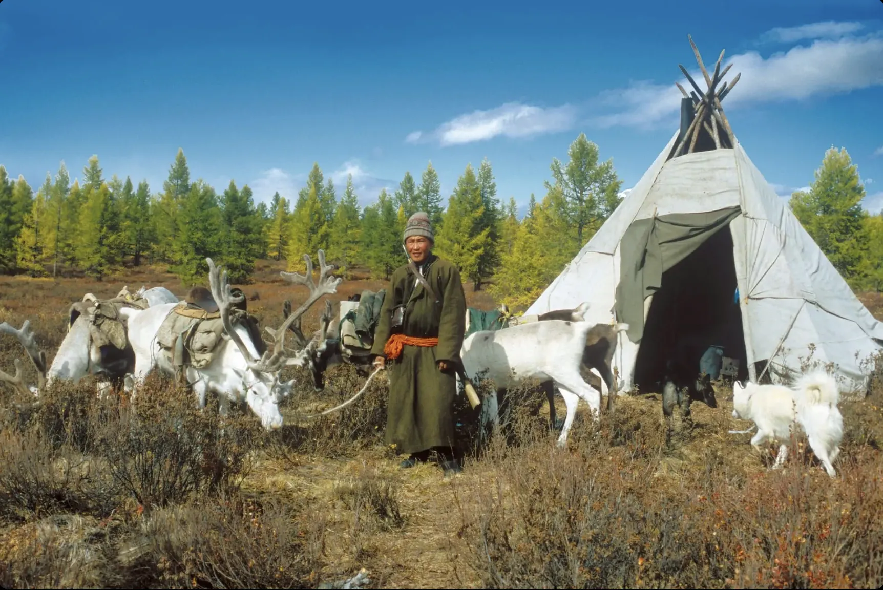 Reindeer herders in Mongolia